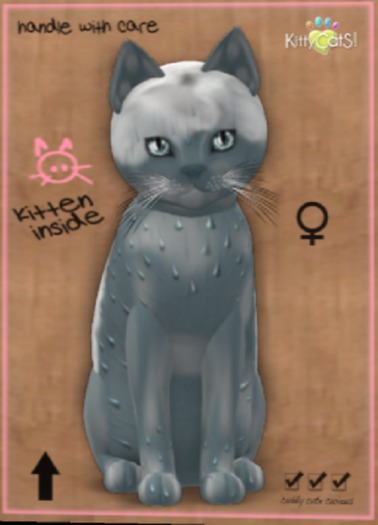 KittyCatS Box - FlowerS & ShowerS - Showers