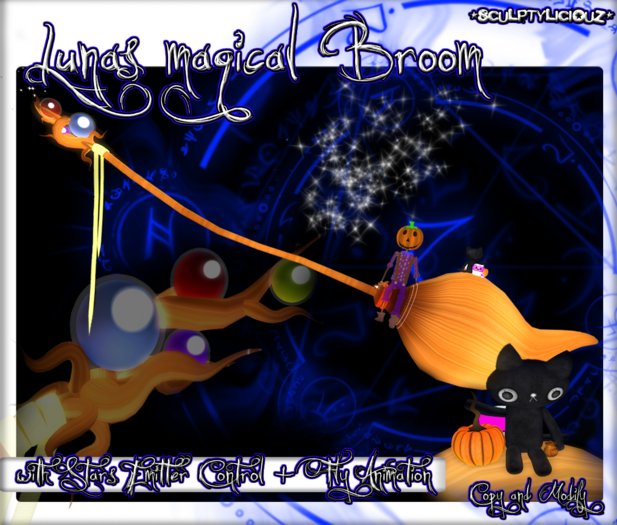 Lunas Magical Broom