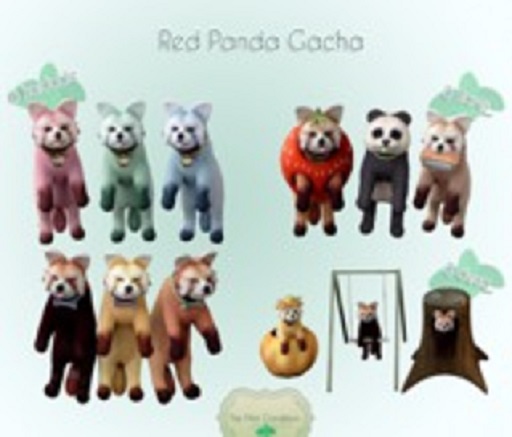 .TMC. Red Panda - Real Panda?? RARE
