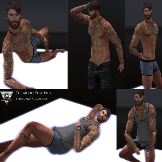 Valor Poses- The Model Pose Pack