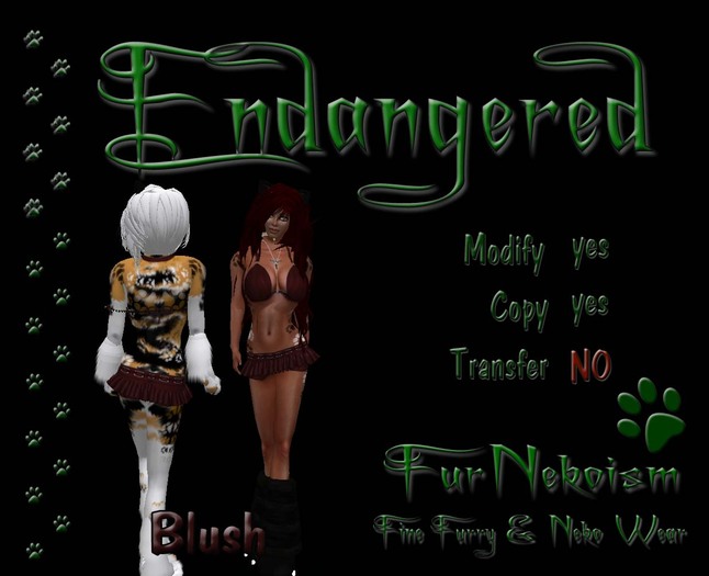 FurNekoism- Endangered- Blush (Promo Price)