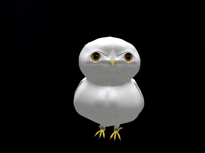 Mesh animated (shoulder&rez) little owl with sound 4colors