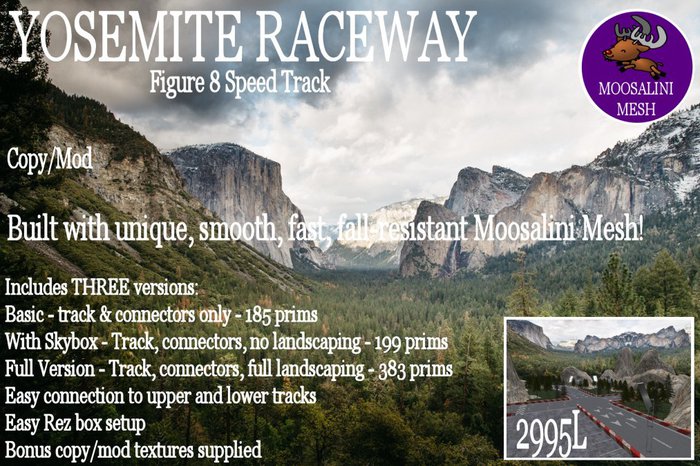 Yosemite Raceway Speed Track - Figure 8