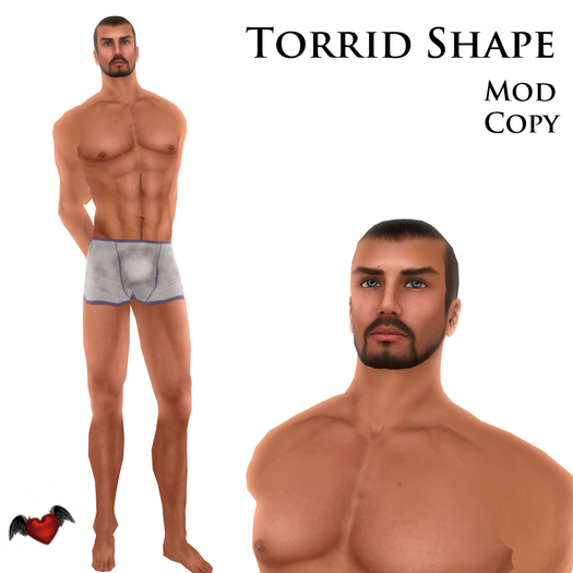 ::ELD:: Male Shape - Torrid