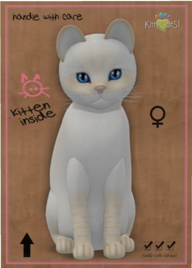 KittyCatS Box - Balinese - Cream Lynx