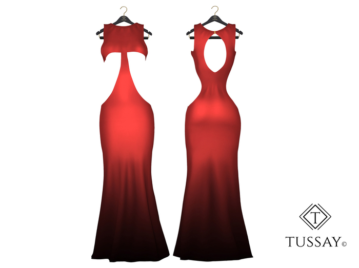 TUSSAY Myko Dress - Peach