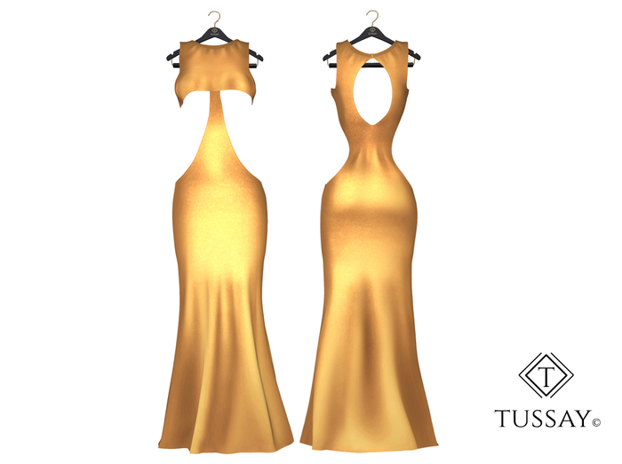 TUSSAY Myko Dress - Gold