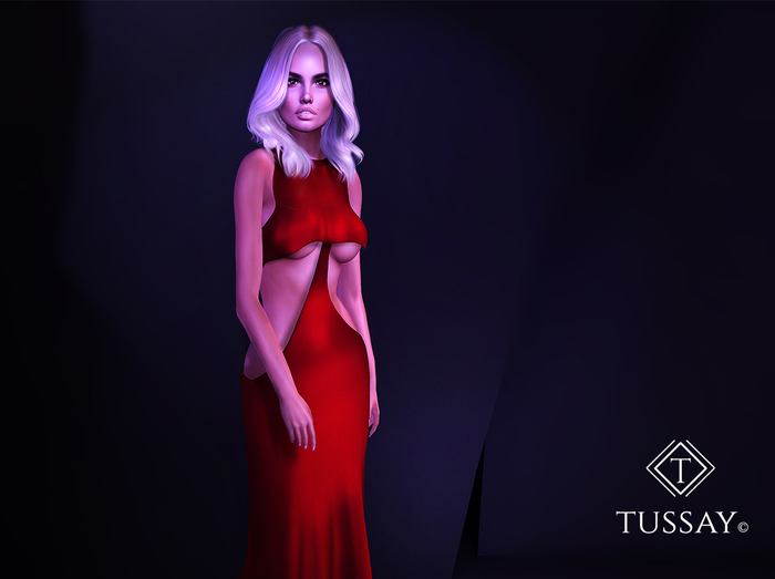 TUSSAY Myko Dress  - FATPACK