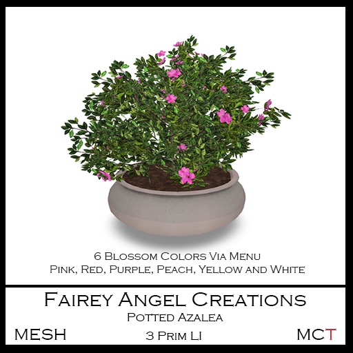 FAC Potted Azalea Crated