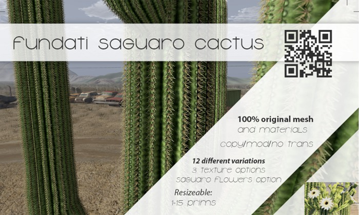 (Fundati) Saguaro Cactus Set