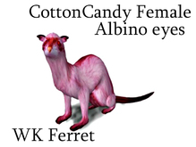 WK Ferret
