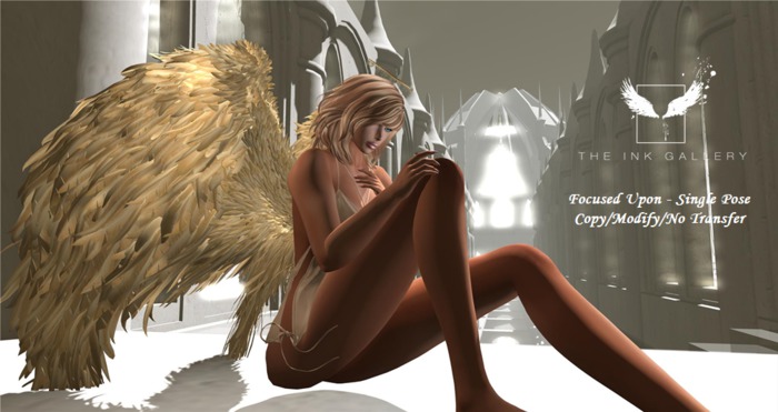 Ink Gallery Focused Upon - Single Pose