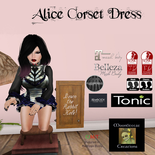MLCC Alice Corset Dress Box