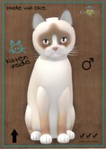 KittyCatS Box - Snowshoe - Cream