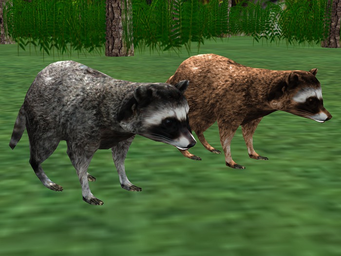 *NEW* Animated Mesh Huntable RACCOON