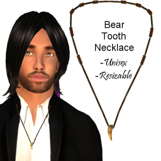 Bear Tooth Necklace 2nd Edition