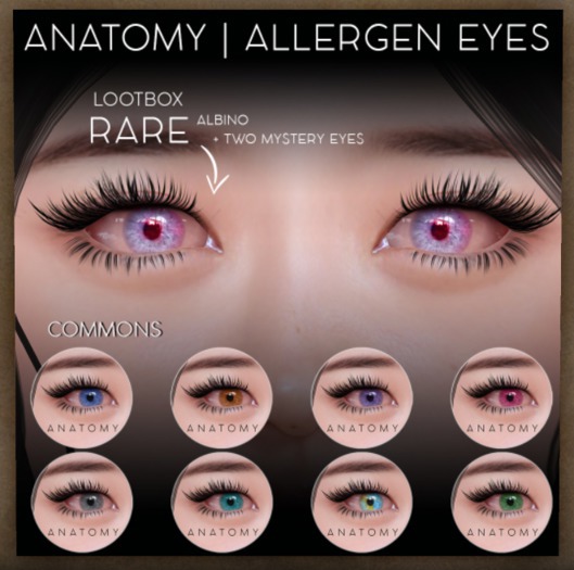 ANATOMY - ALLERGEN EYES - COMMON - PINK