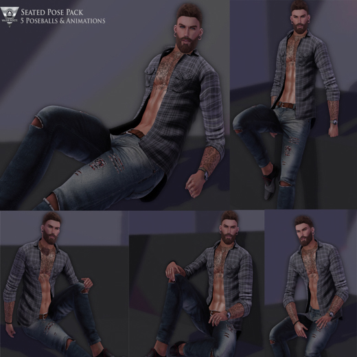 Valor Poses-Seated Pose Pack