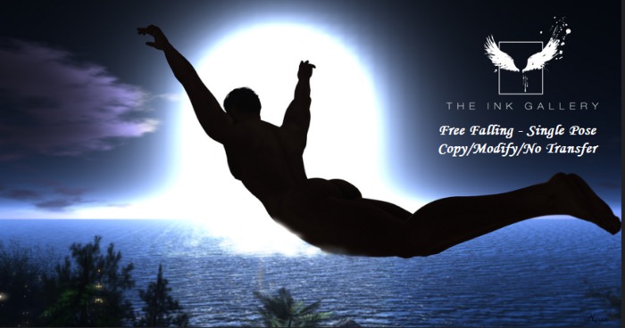 Ink Gallery Free Falling - Single Pose
