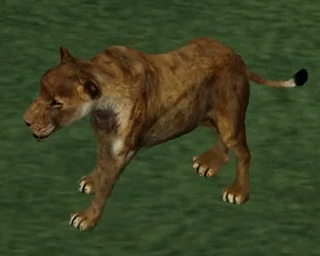 Cougar 320x256 0lossy