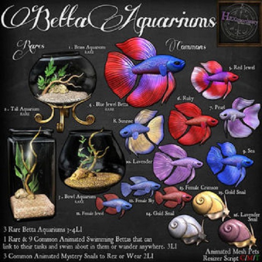 6. *HEXtraordinary* Male Betta - Ruby