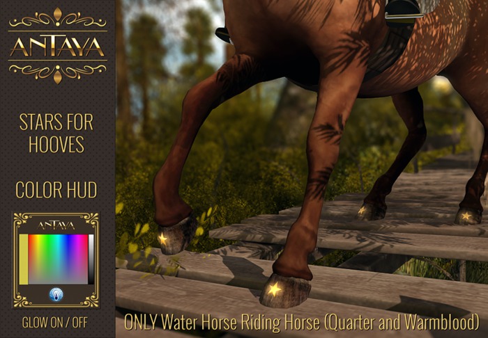 :: ANTAYA :: Stars for hooves \ Warmblood, Quarter