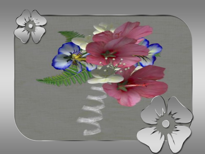 Box boutonniere hib pink blau