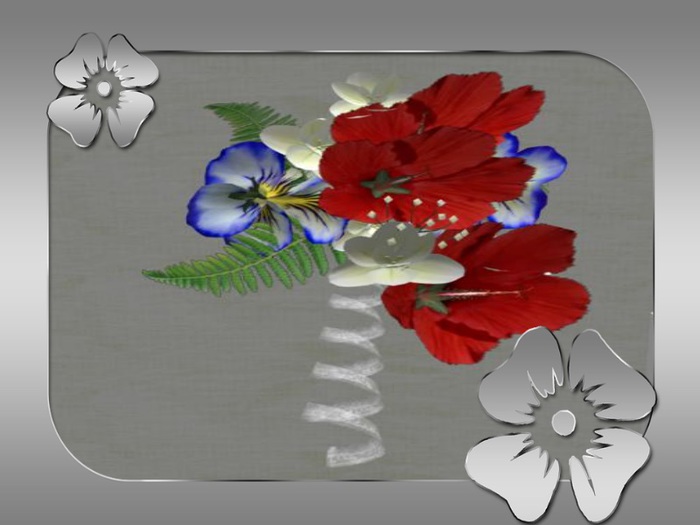 Box boutonniere hib red blau