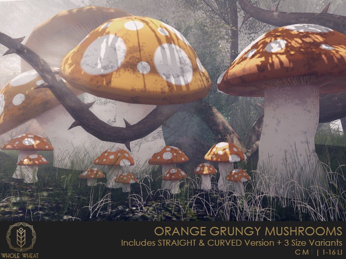 WHOLE.WHEAT - Orange Grungy Mushrooms