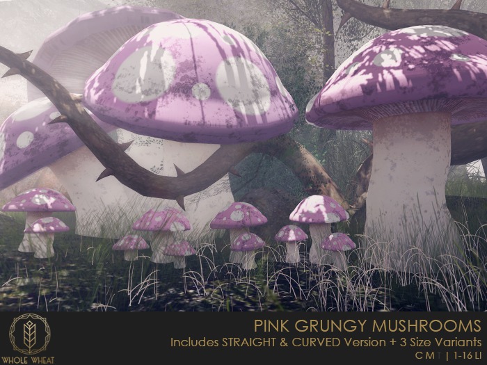 WHOLE.WHEAT - Pink Grungy Mushrooms (BOXED)