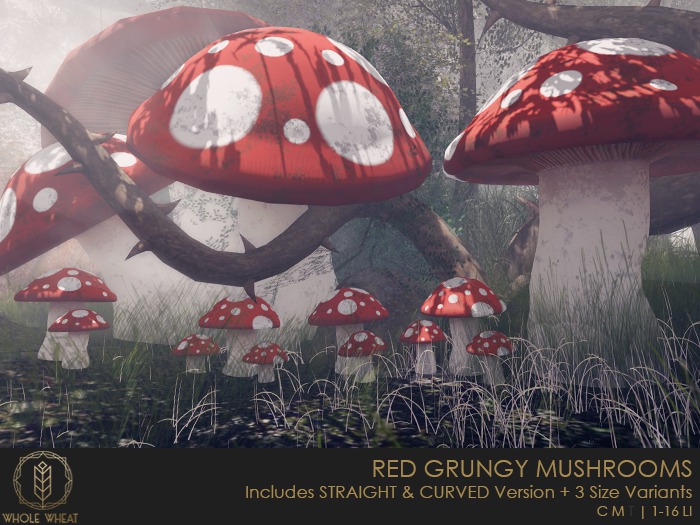 WHOLE.WHEAT - Red Grungy Mushrooms