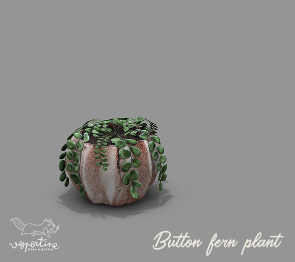 {vespertine}- exotic plants / button fern