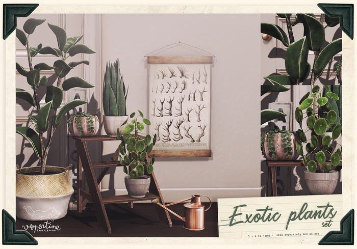 {vespertine}- exotic plants  FATPACK bx.