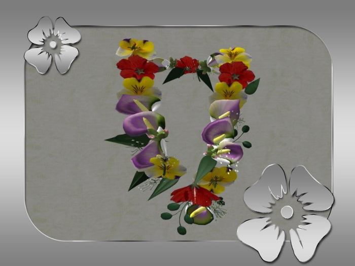 Box aloha necklace yellow red violet