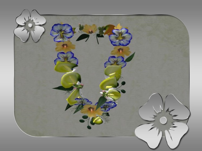 Box aloha necklace yellow  blau