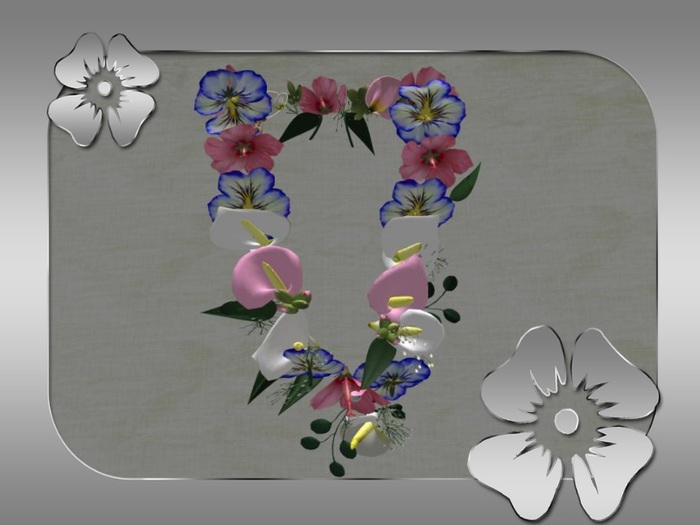 Box aloha necklace pink blau