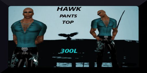 hawk