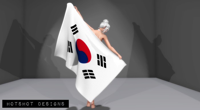 :: HD :: S. Korea flag pose