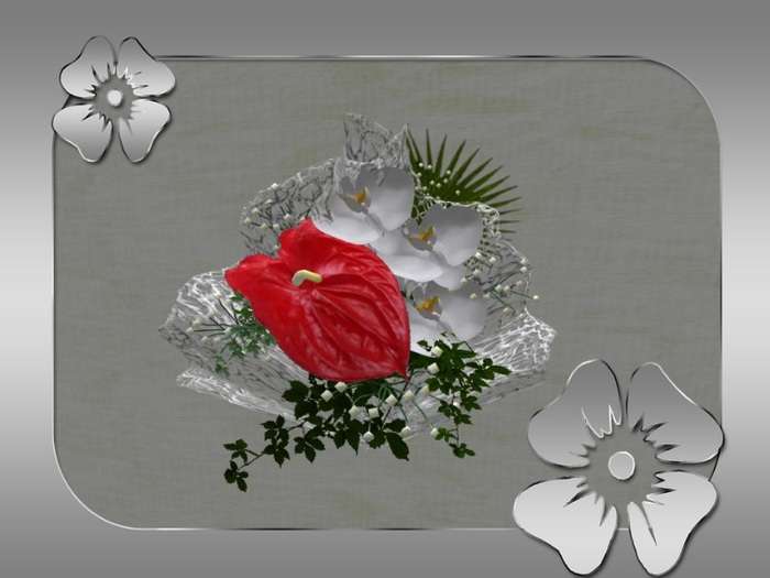 Box boutonniere flamingo orchid