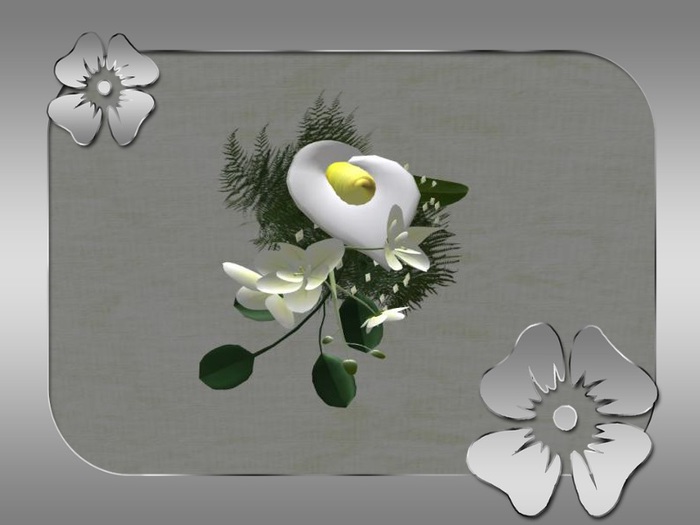 Box boutonniere calla orchid