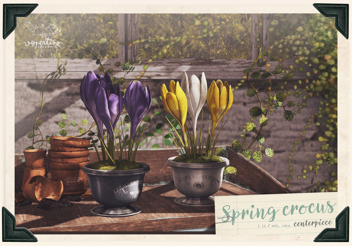 {vespertine}- spring crocus centerpiece / lilac 