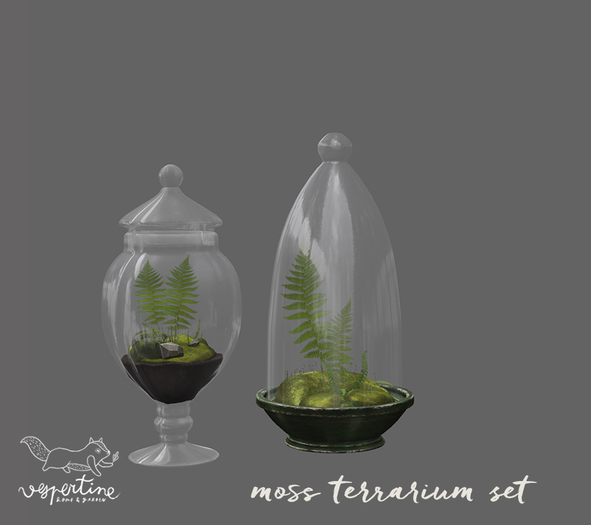 {vespertine}-moss terrariums