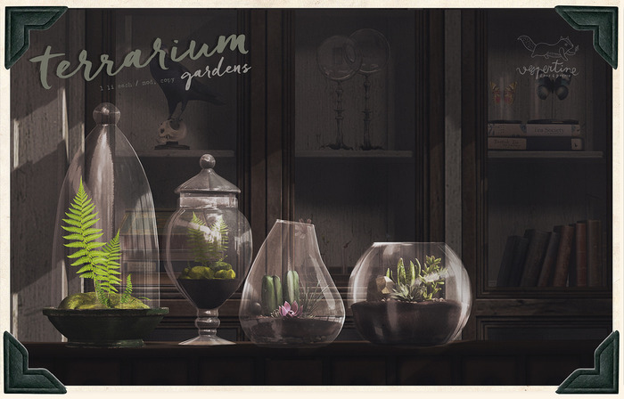 {vespertine}- terrarium gardens FATPACK