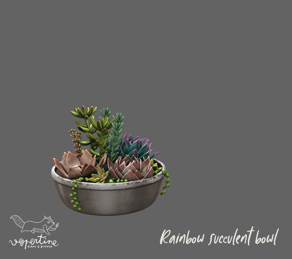 {vespertine}-rainbow succulent bowl 