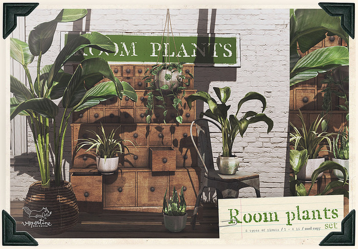 {vespertine}- room plants FATPACK
