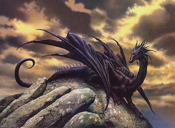Dark Dsurion / Ciruelo