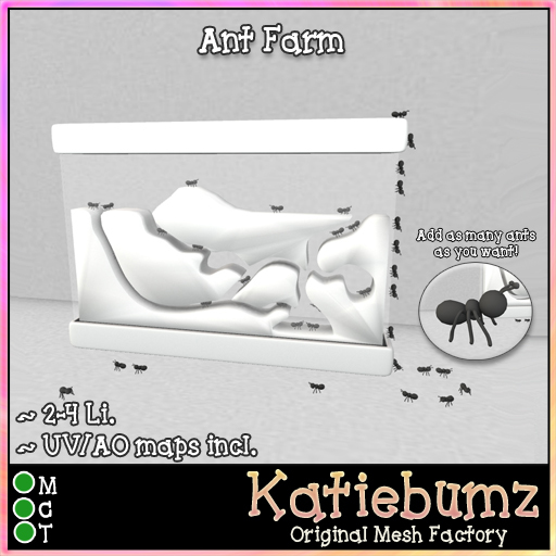 ~Katiebumz~ Ant Farm