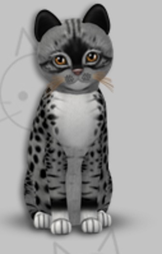 KittyCatS Box - Genesis Bandit II/3T/Female
