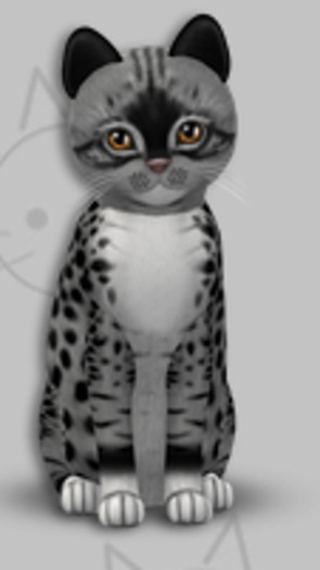 KittyCatS Box - Genesis Bandit II/Female