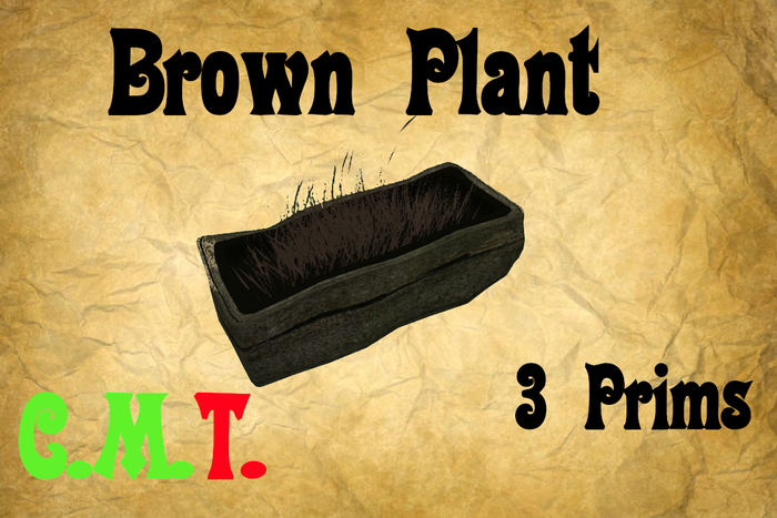 brown plant